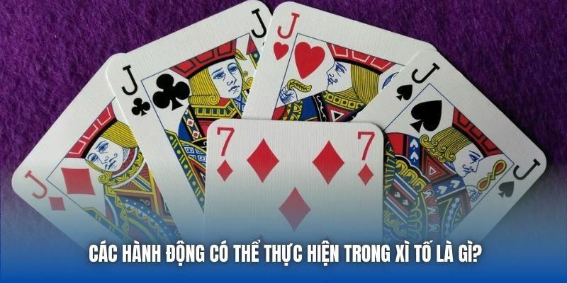 Các hành động có thể thực hiện trong Xì Tố là gì?