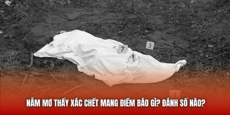 Nằm Mơ Thấy Xác Chết Mang Điềm Báo Gì? Đánh Số Nào?
