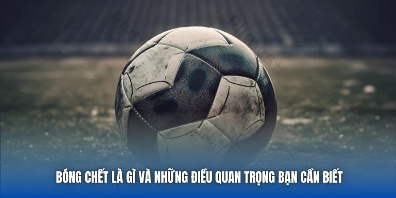 Bóng Chết Là Gì Và Những Điều Quan Trọng Bạn Cần Biết