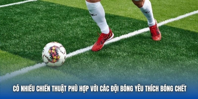 Có nhiều chiến thuật phù hợp với các đội bóng yêu thích bóng chết