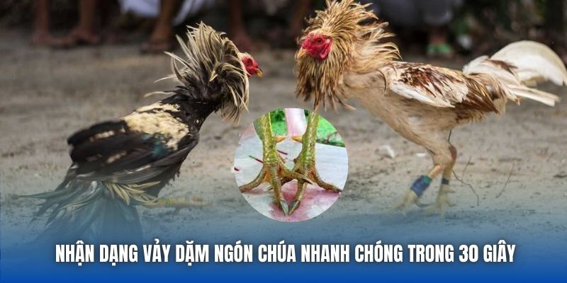 Nhận dạng vảy dặm ngón chúa nhanh chóng trong 30 giây